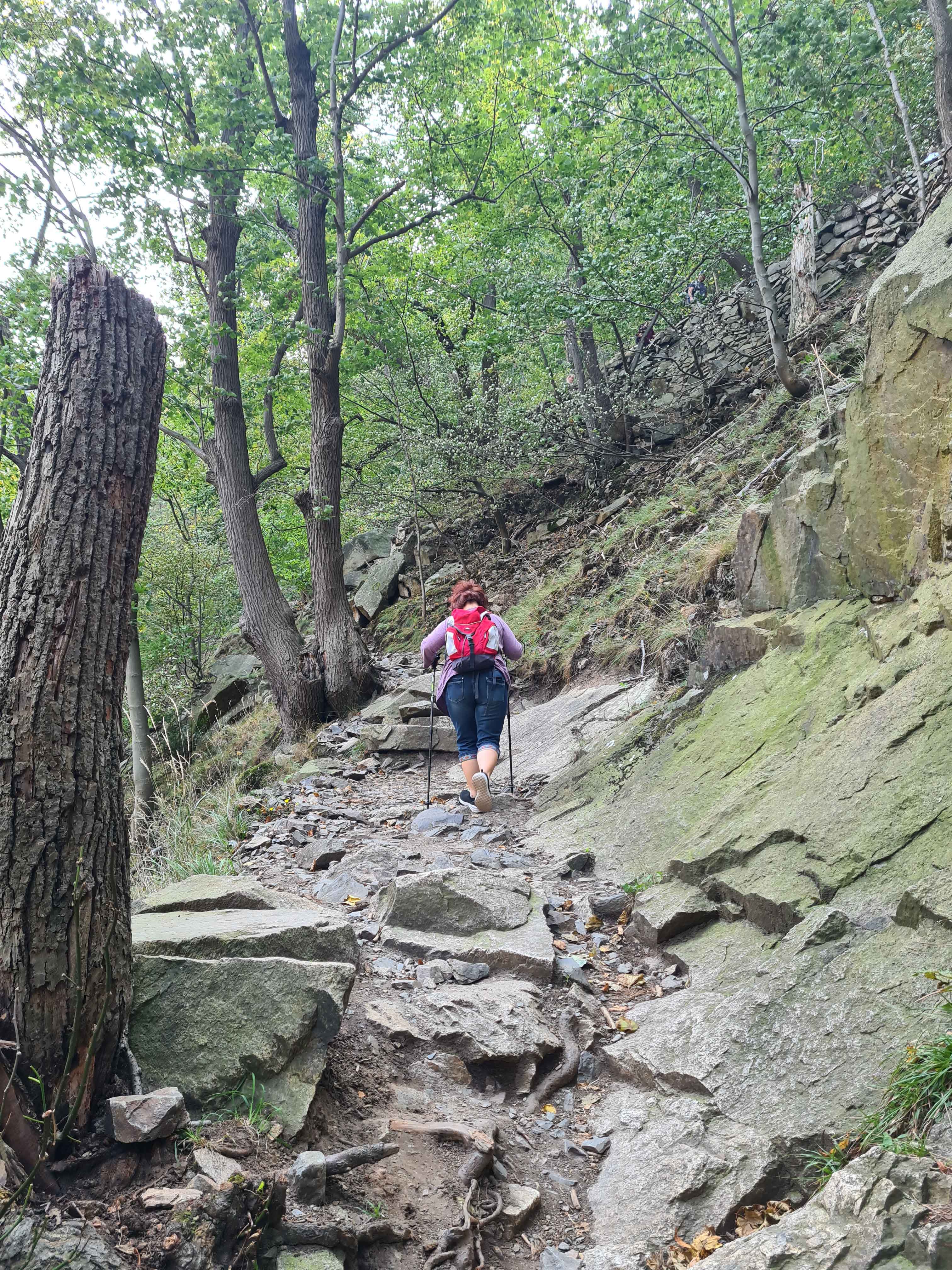 Steiler Aufstieg.jpg